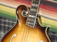 Turkey Creek Mandolin Works - Mandolins