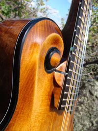 Turkey Creek Mandolin Works - Mandolins