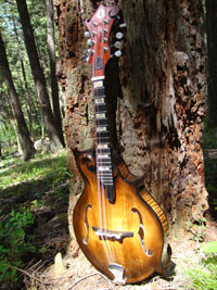 Turkey Creek Mandolin Works - Mandolins