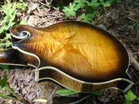 Turkey Creek Mandolin Works - Mandolins
