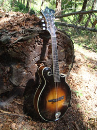 Turkey Creek Mandolin Works - Mandolins
