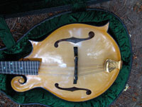 Turkey Creek Mandolin Works - Mandolins