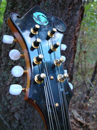 Turkey Creek Mandolin Works - Mandolins