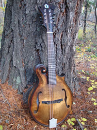 Turkey Creek Mandolin Works - Mandolins