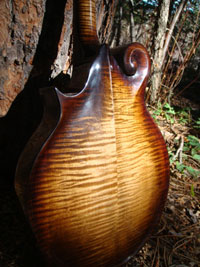 Turkey Creek Mandolin Works - Mandolins