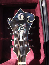 Turkey Creek Mandolin Works - Mandolins