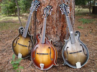 Turkey Creek Mandolin Works - Mandolins