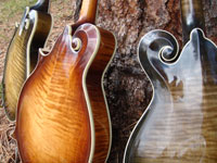 Turkey Creek Mandolin Works - Mandolins
