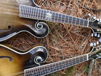 Turkey Creek Mandolin Works - Mandolins