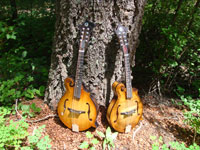 Turkey Creek Mandolin Works - Mandolins