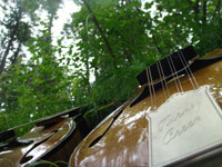 Turkey Creek Mandolin Works - Mandolins