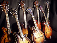 Turkey Creek Mandolin Works - Mandolins