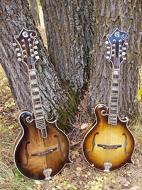 Turkey Creek Mandolin Works - Mandolins