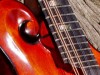 Mandolin Luthier